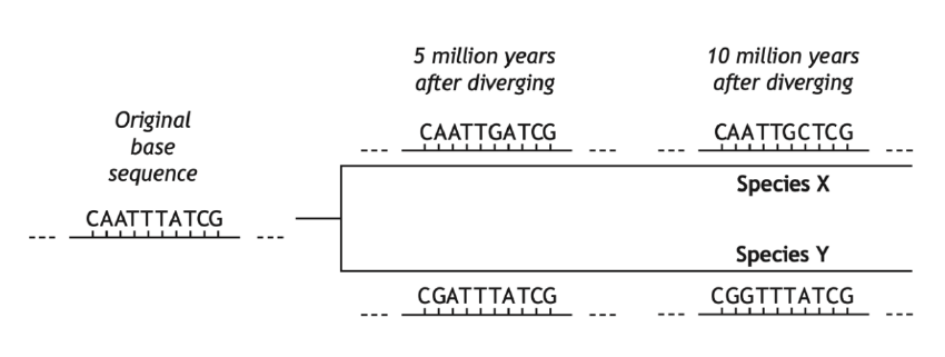 Uncropped source page 7 for question 11; requires human review and cropping