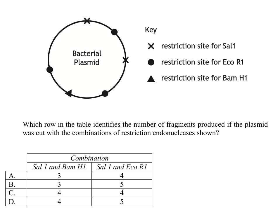 Uncropped source page 8 for question 13; requires human review and cropping