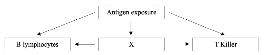 Uncropped source page 2 for question 3; requires human review and cropping