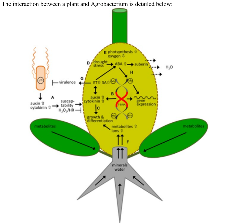 Uncropped source page 30 for question 32.d; requires human review and cropping