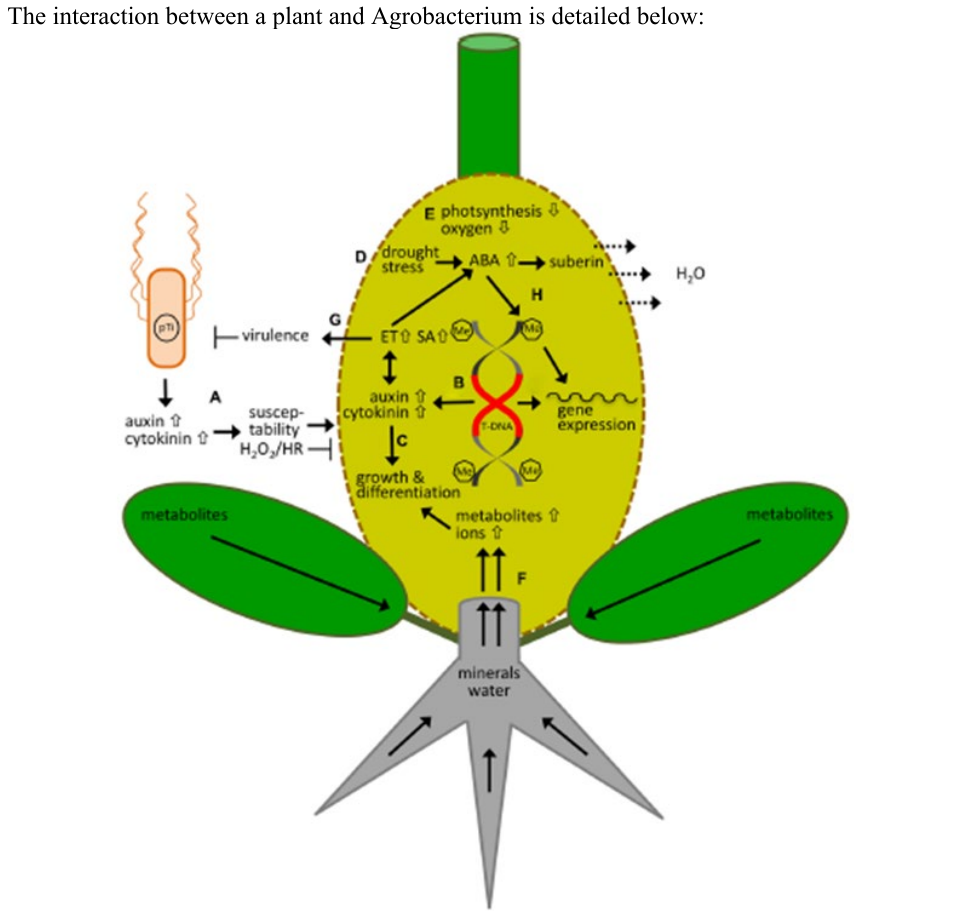 Uncropped source page 30 for question 32.e; requires human review and cropping