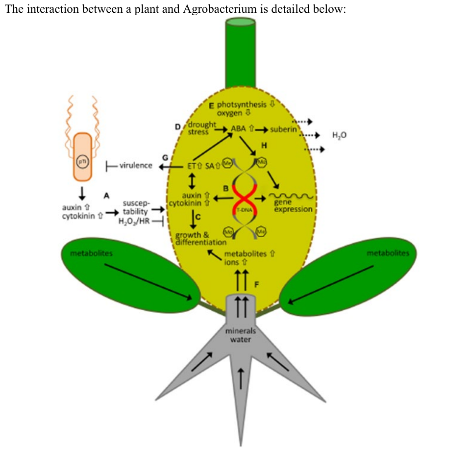 Uncropped source page 30 for question 32.f; requires human review and cropping