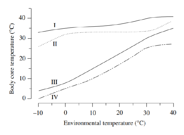 Uncropped source page 5 for question 8; requires human review and cropping