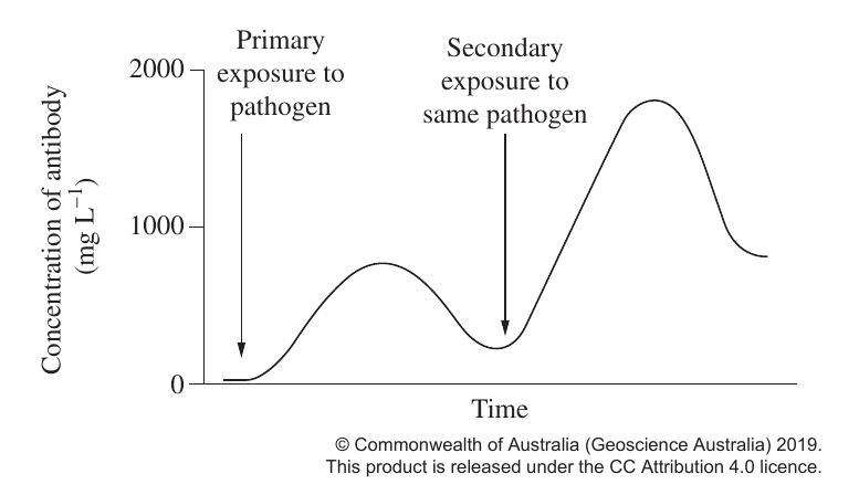 Uncropped source page 9 for question 16; requires human review and cropping