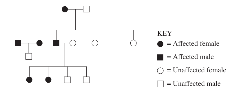 Uncropped source page 10 for question 17; requires human review and cropping