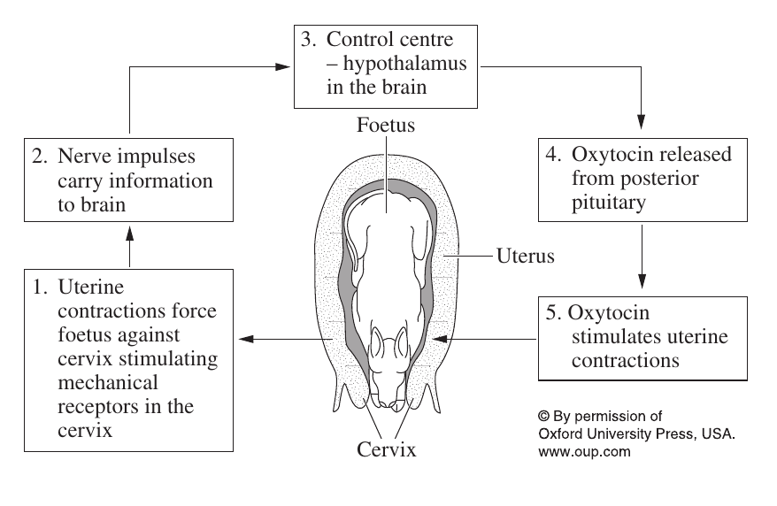Uncropped source page 11 for question 18; requires human review and cropping