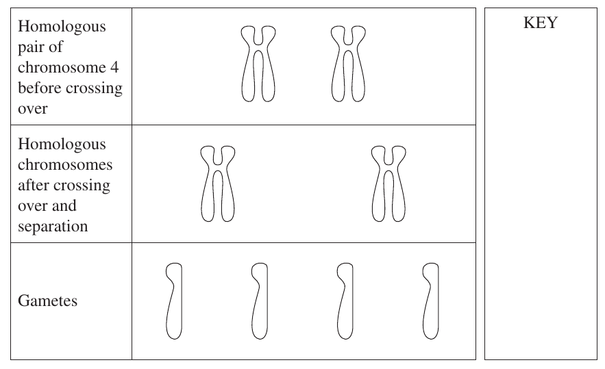 Uncropped source page 20 for question 28.b; requires human review and cropping
