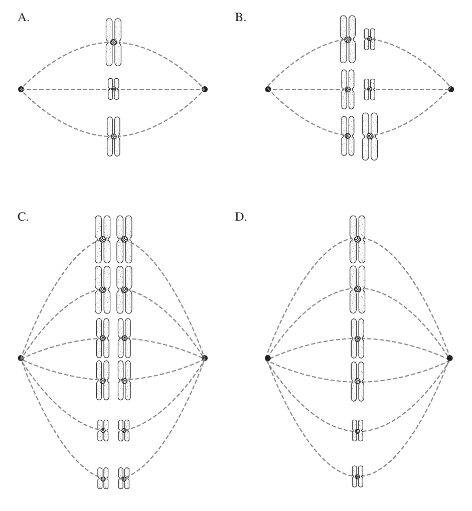 Uncropped source page 10 for question 19; requires human review and cropping