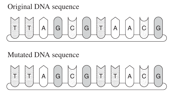 Uncropped source page 15 for question 23.a; requires human review and cropping