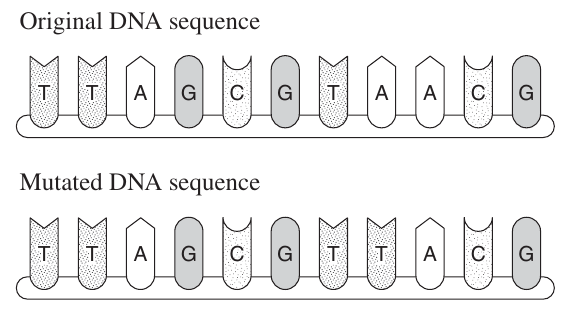 Uncropped source page 15 for question 23.b; requires human review and cropping