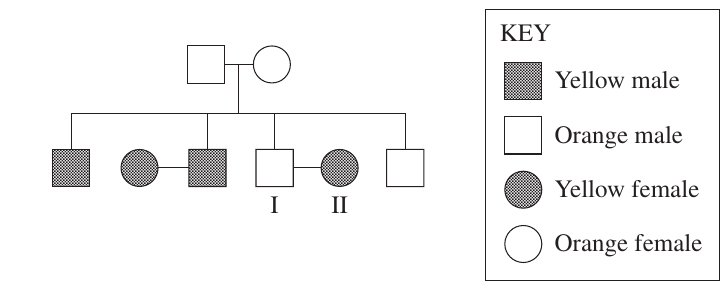 Uncropped source page 20 for question 26.a; requires human review and cropping