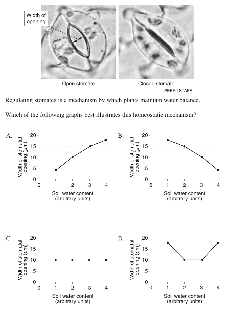 Uncropped source page 7 for question 13; requires human review and cropping