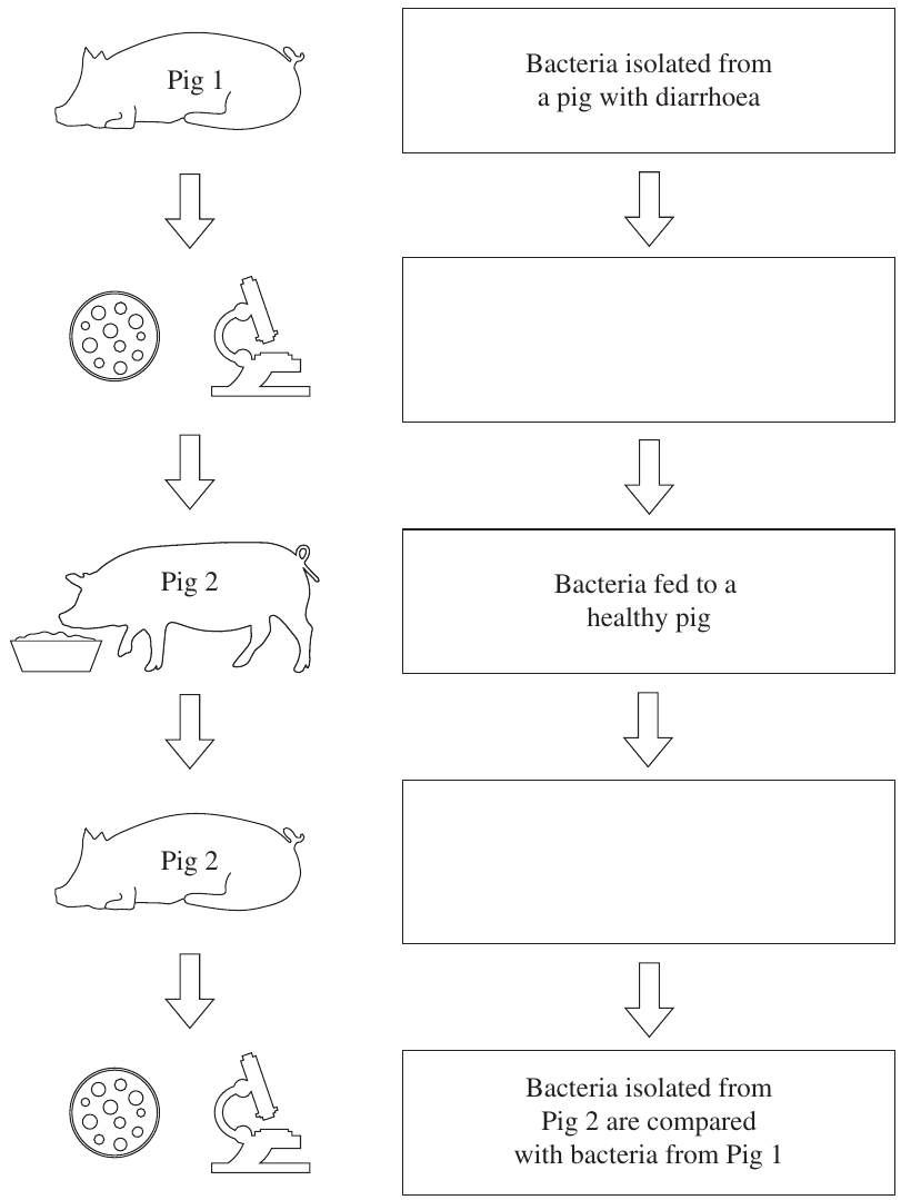 Uncropped source page 15 for question 21.b; requires human review and cropping