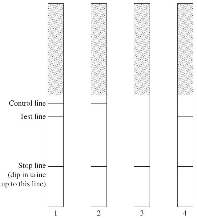 Uncropped source page 17 for question 23; requires human review and cropping