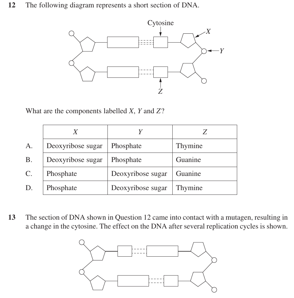 Luna-requested uncropped source page for question 13; requires human review and cropping