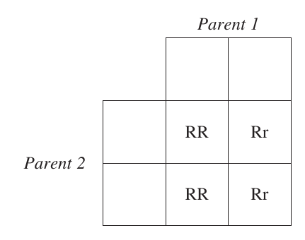 Luna-requested uncropped source page for question 15; requires human review and cropping