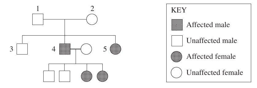 Luna-requested uncropped source page for question 18; requires human review and cropping
