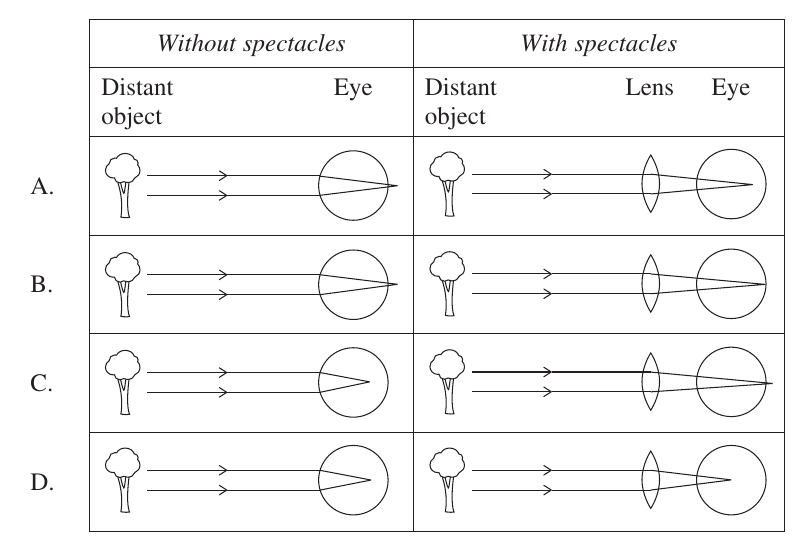 Uncropped source page 10 for question 19; requires human review and cropping