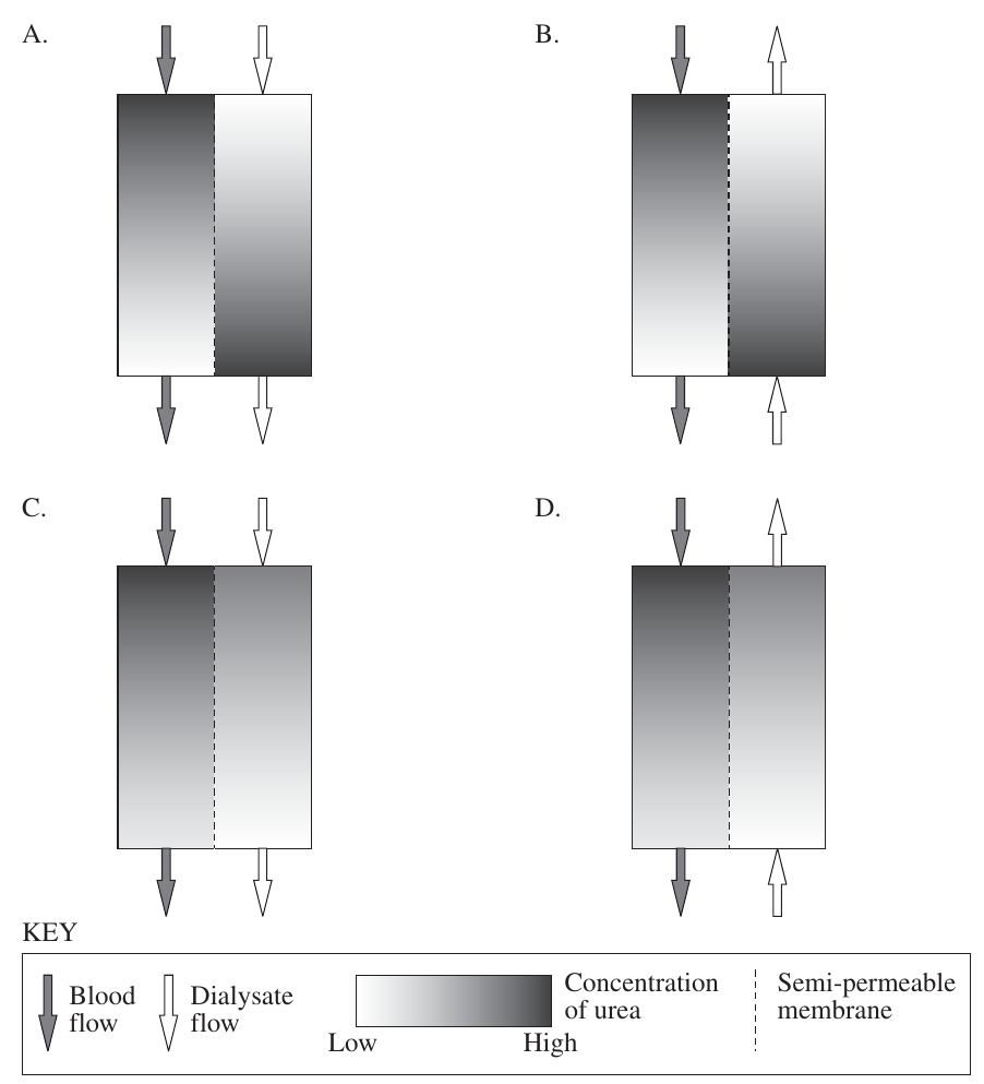 Uncropped source page 11 for question 20; requires human review and cropping