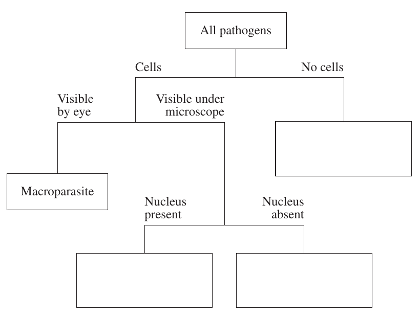Luna-requested uncropped source page for question 21.b; requires human review and cropping