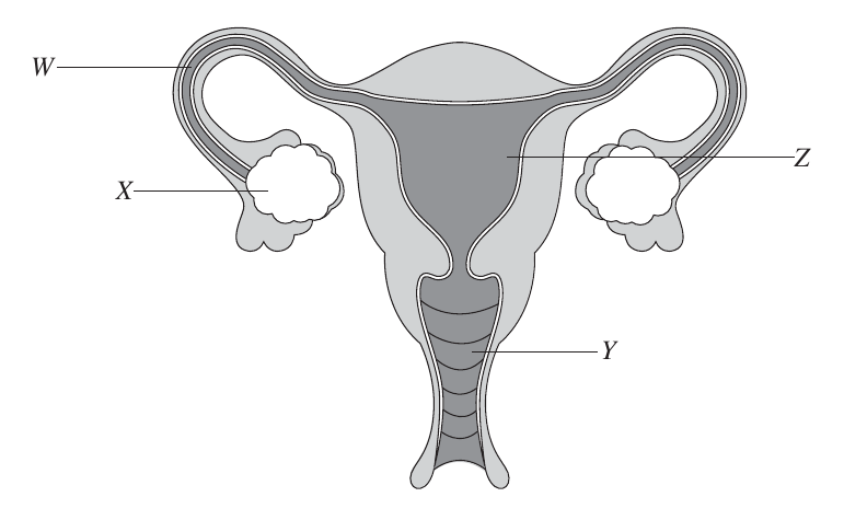 Uncropped source page 4 for question 6; requires human review and cropping