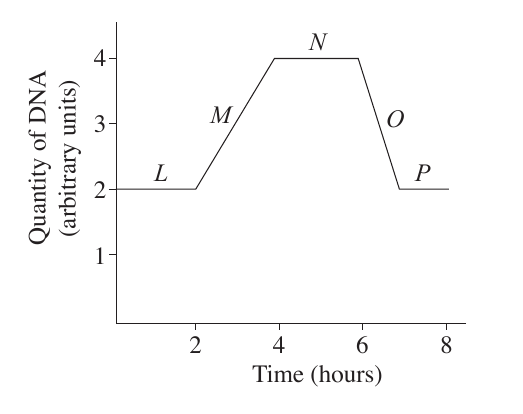 Uncropped source page 9 for question 14; requires human review and cropping