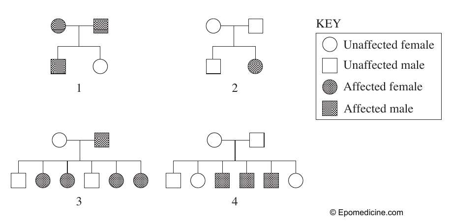 Uncropped source page 14 for question 20; requires human review and cropping