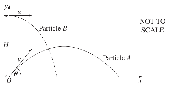 Uncropped source page 13 for question 13.b.ii; requires human review and cropping