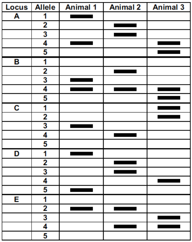 Luna-requested uncropped source page for question 17; requires human review and cropping