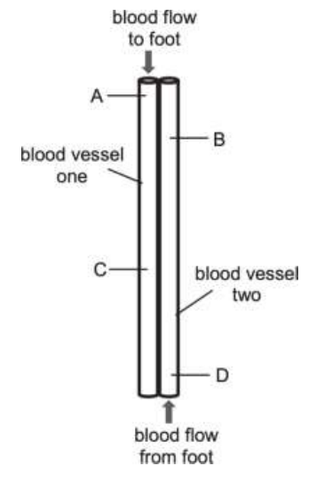 Uncropped source page 7 for question 19; requires human review and cropping