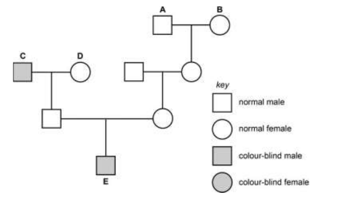 Uncropped source page 7 for question 20; requires human review and cropping