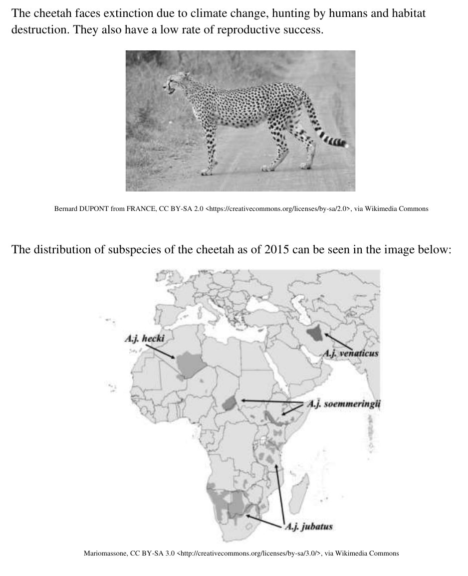 Uncropped source page 10 for question 22.b; requires human review and cropping