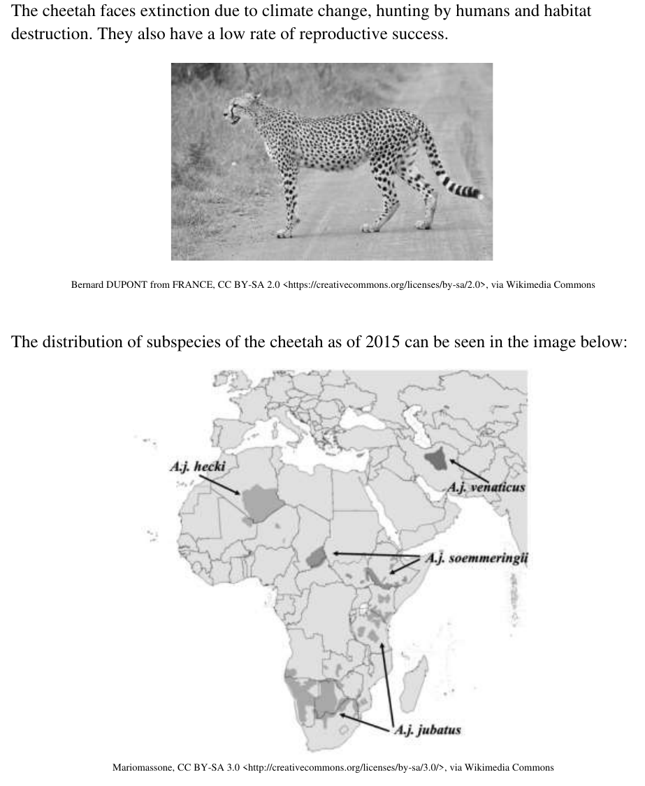 Uncropped source page 10 for question 22.c; requires human review and cropping