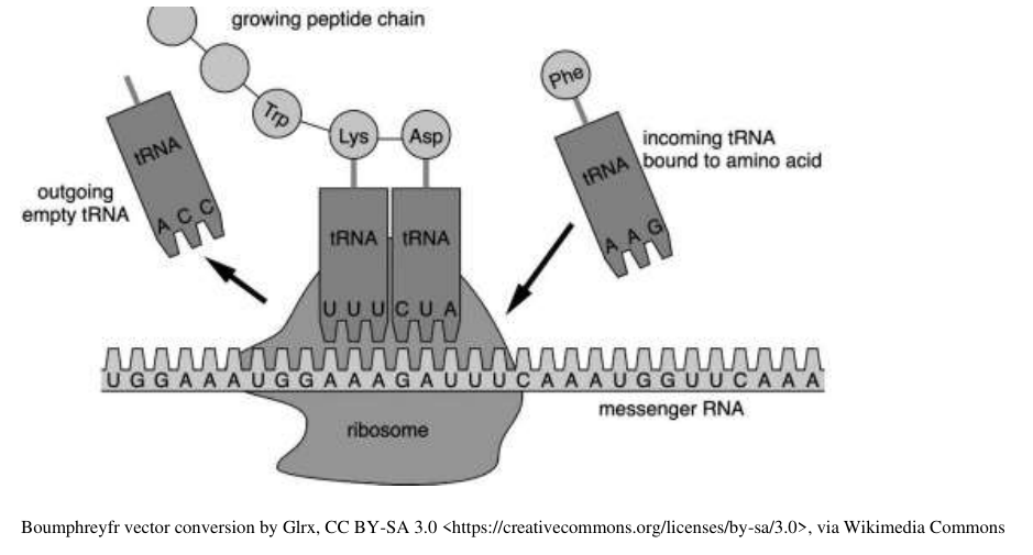 Uncropped source page 3 for question 8; requires human review and cropping